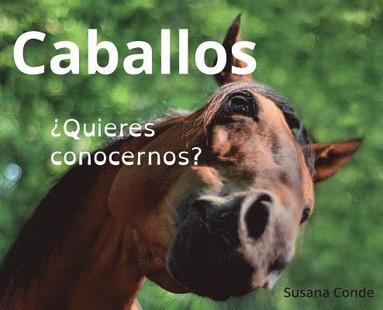 bokomslag Caballos: ¿Quieres conocernos?