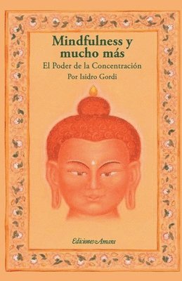 bokomslag Mindfulness y mucho ms