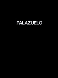 bokomslag Pablo Palazuelo