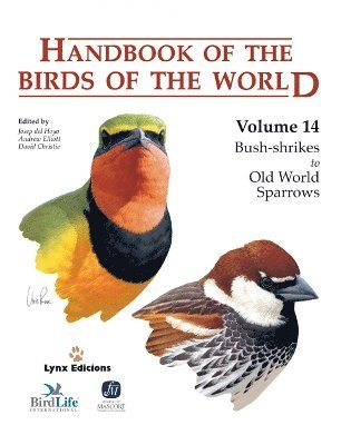 bokomslag Handbook of the Birds of the World. Vol.14