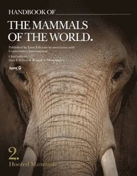 bokomslag Handbook of the Mammals of the World. Vol.2