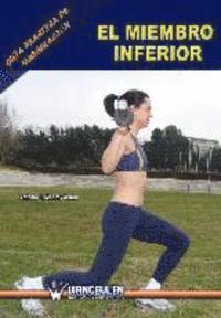 Antonio J. Monroy Anton - Guia practica de musculacion: el miembro inferior, Häftad. Tillgänglighet: Lägg i varukorg