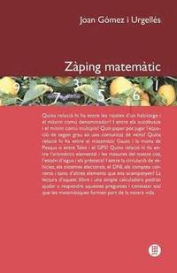 bokomslag Zaping Matematic