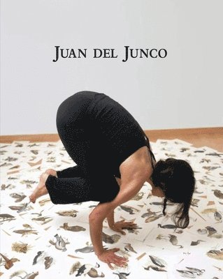 Juan del Junco 1