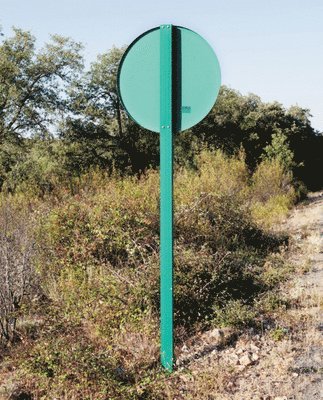 Jorge Yeregui, Häftad