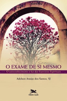 Adelson Araújo Dos Santos, Adelson Araújo dos Santos - Exame de si mesmo (O) - O autoconhecimento à luz dos exercícios espirituais, Häftad
