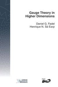 bokomslag Gauge Theory in Higher Dimensions