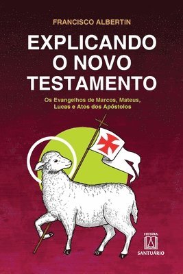 bokomslag Explicando o Novo Testamento