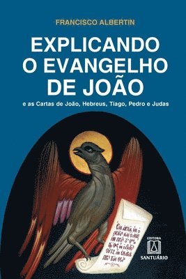 bokomslag Explicando o Evangelho de Joo