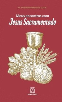 bokomslag Meus encontros com Jesus Sacramentado