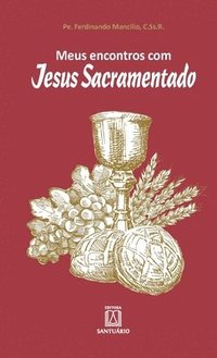 bokomslag Meus encontros com Jesus Sacramentado
