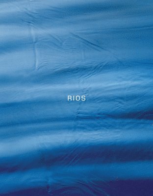 Artur Lescher: Rios 1