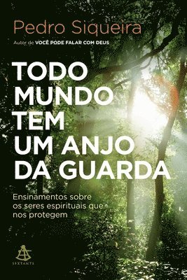 Todo mundo tem um anjo da guarda