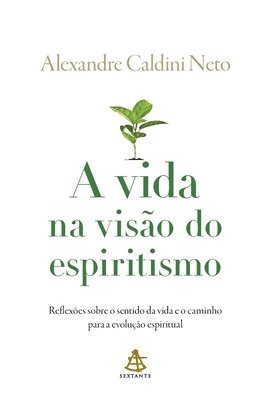 bokomslag A vida na viso do espiritismo