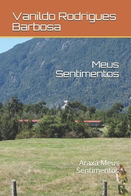 bokomslag Meus Sentimentos: Araxá Meus Sentimentos