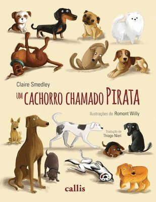 Claire Smedley - Um cachorro chamado Pirata, Häftad. Tillgänglighet: Lägg i varukorg