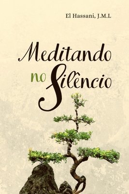 bokomslag Meditando No Silncio