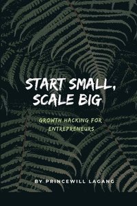 bokomslag Start Small, Scale Big