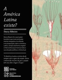 bokomslag América Latina Existe?