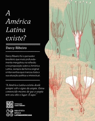 bokomslag América Latina Existe?
