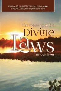 bokomslag The Meaning of The Divine Laws In Our Lives: Series of Self-Reflective Studies of the Works of Allan Kardec And The Gospel of Jesus