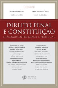 bokomslag Direito Penal e Constituio