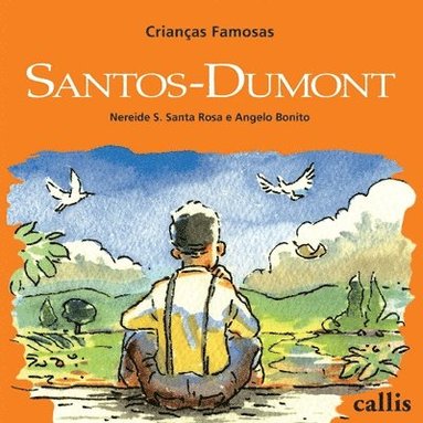 bokomslag Santos-Dumont