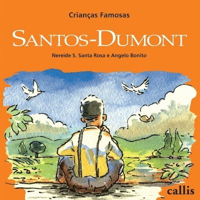 Santos-Dumont 1