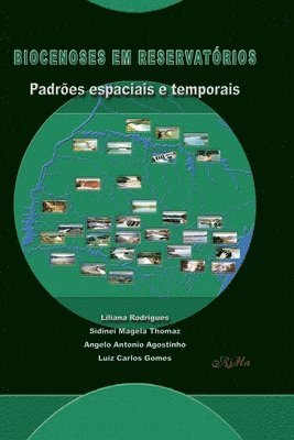 Sidinei Magela Thomaz, Angelo Antonio Agostinho, Luiz Carlos Gomes - Biocenoses em Reservatórios, Häftad