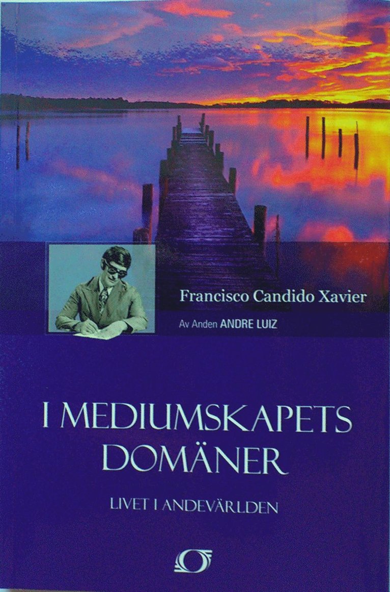 Francisco Candido Xavier, André Luiz - I mediumskapets domäner : livet i andevärlden, Häftad