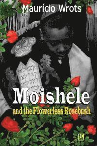 bokomslag Moishele and the Flowerless Rosebush