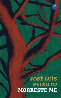 José Luís Peixoto - Morreste-me, Häftad
