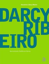 bokomslag Darcy Ribeiro - Encontros