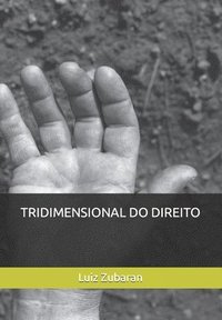 bokomslag Tridimensional Do Direito