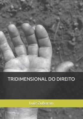 Tridimensional Do Direito 1