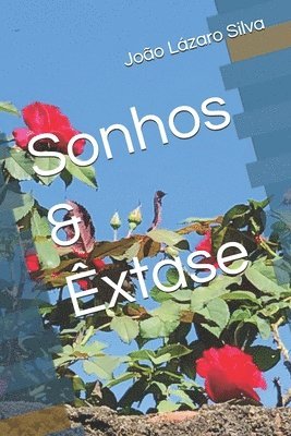 bokomslag Sonhos & Êxtase