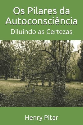 bokomslag Os Pilares da Autoconsciência: Diluindo as Certezas