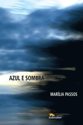 bokomslag Azul e sombra