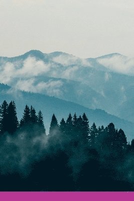 Guimar Es S Rgio, Guimar Es S. Rgio, Guimar es, S rgio - Contos E Poemas Do Arco Do C u, Häftad