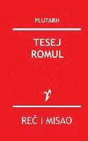bokomslag Tesej - Romul