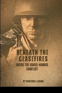 bokomslag Beneath the Ceasefires