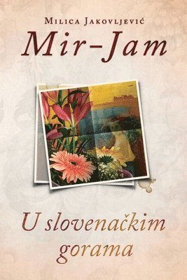 bokomslag U slovena?kim gorama