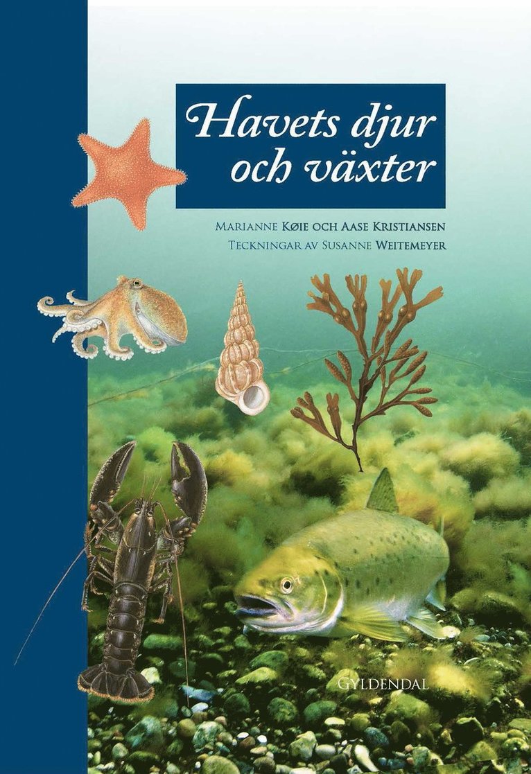 Havets djur och växter