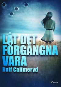 bokomslag Låt det förgångna vara