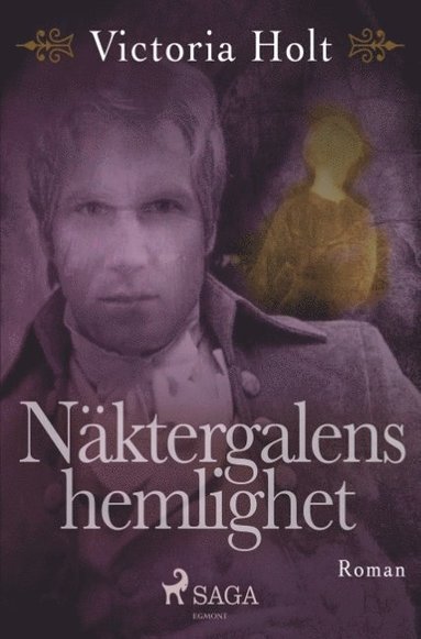 bokomslag Näktergalens hemlighet