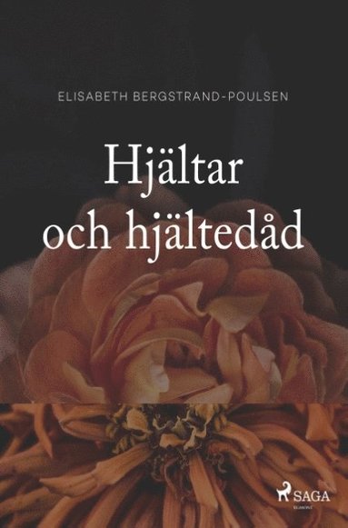 bokomslag Hjältar och hjältedåd