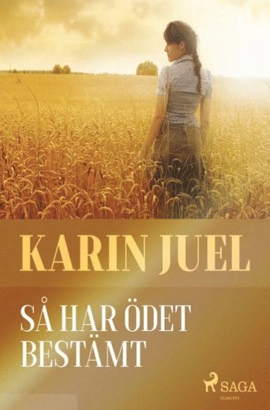bokomslag Så har ödet bestämt