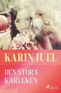 bokomslag Den stora kärleken
