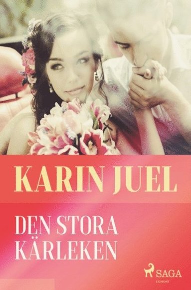 bokomslag Den stora kärleken