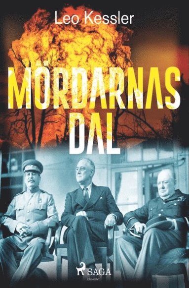 Leo Kessler - Mördarnas dal, Häftad